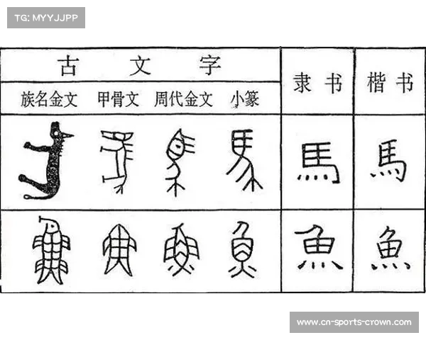 国际拔河历史研究会揭示古代军事训练起源及其演变轨迹 国际拔河历史研究会揭示古代军事训练起源及其演变轨迹